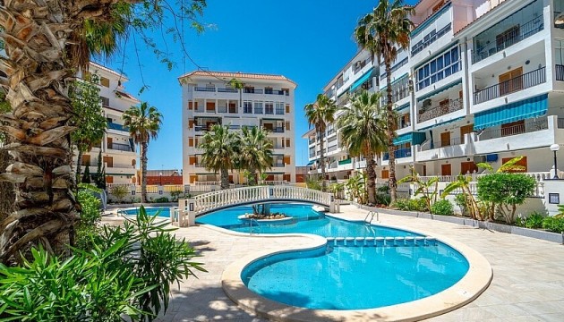 Apartamento - Reventa - La Mata - Torrelamata - La Mata