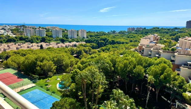 Apartamento - Reventa - Orihuela Costa - Campoamor