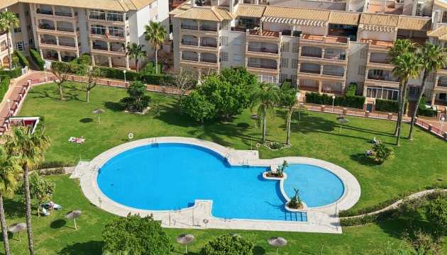 Apartamento - Reventa - Orihuela - Orihuela