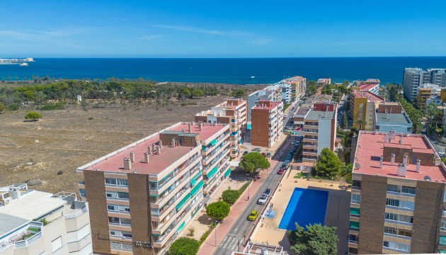 Apartamento - Reventa - Torrevieja - Punta Prima