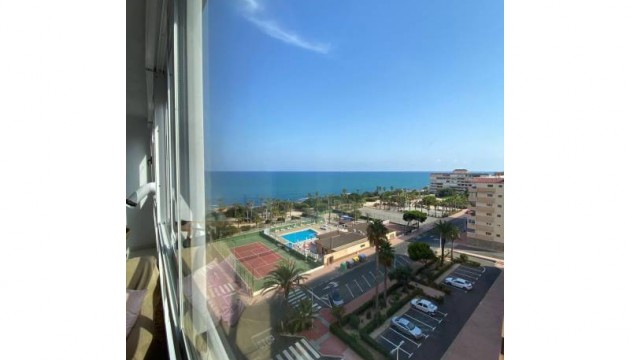 Apartamento - Reventa - Torrevieja - Torrelamata - La Mata