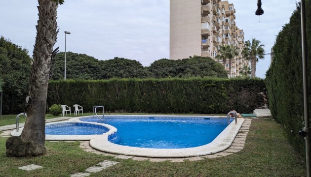 Apartamento - Reventa - Torrevieja - Torrevieja