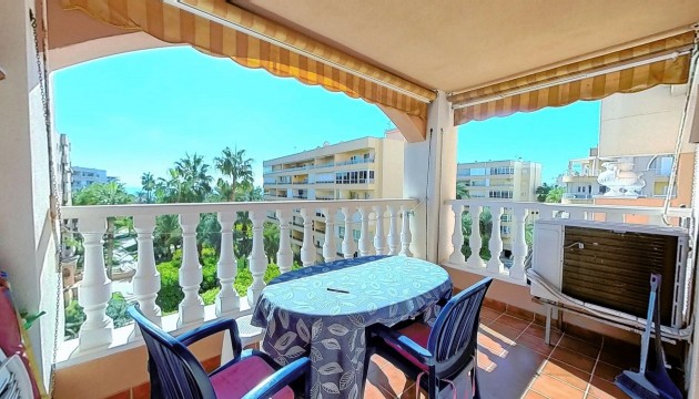 Apartamento - Reventa - Torrevieja - Torrevieja