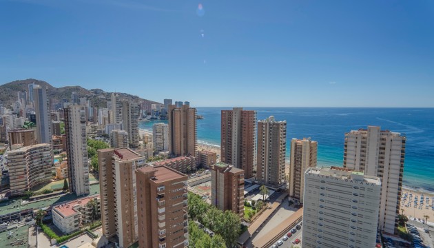 Apartment - Herverkoop - Benidorm - Benidorm