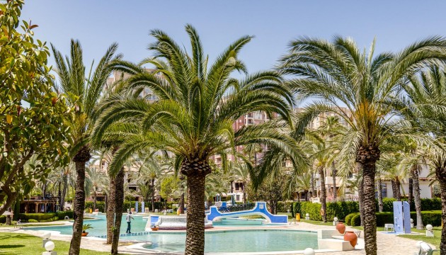 Apartment - Herverkoop - Torrevieja - PLAYA LOS LOCOS