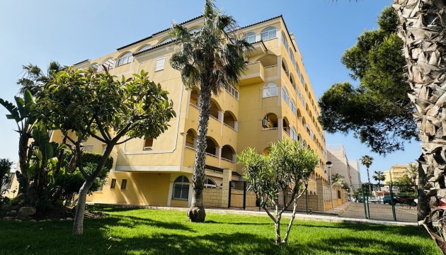 Apartment - Herverkoop - Torrevieja - Torrevieja