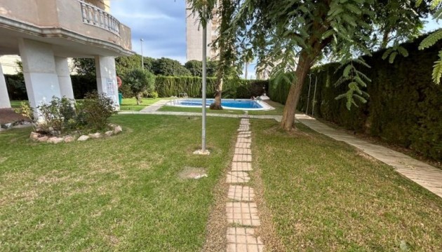 Apartment - Herverkoop - Torrevieja - Torrevieja