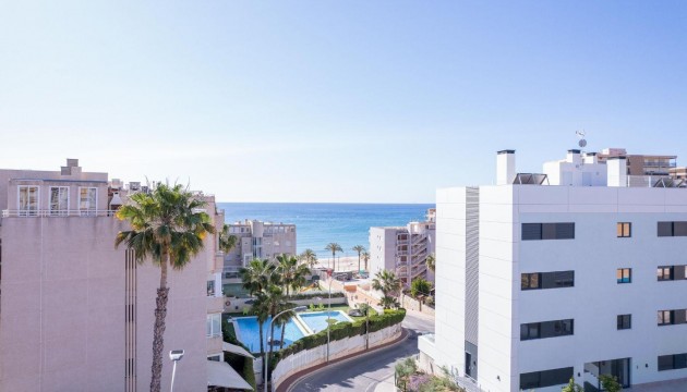 Apartment - New Build - El Campello - El Campello
