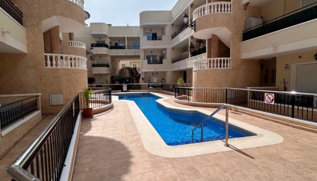 Apartment - Odsprzedaż - Jacarilla - Jacarilla