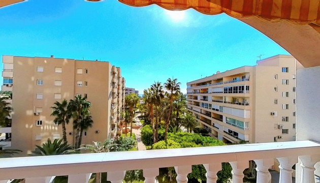 Apartment - Odsprzedaż - Torrevieja - Torrevieja