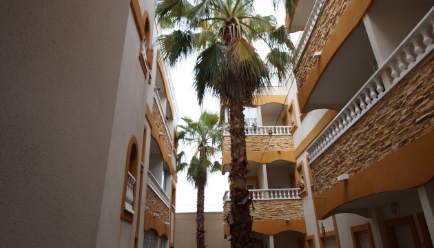 Apartment - Resale - Formentera del Segura - Formentera del Segura