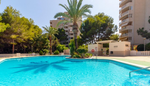 Apartment - Resale - Orihuela Costa - Campoamor