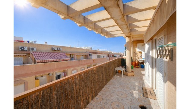 Apartment - Resale - Torrevieja - Torrevieja