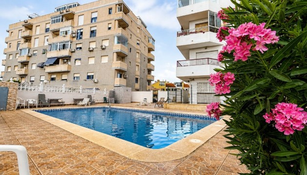Apartment - Resale - Torrevieja - Torrevieja