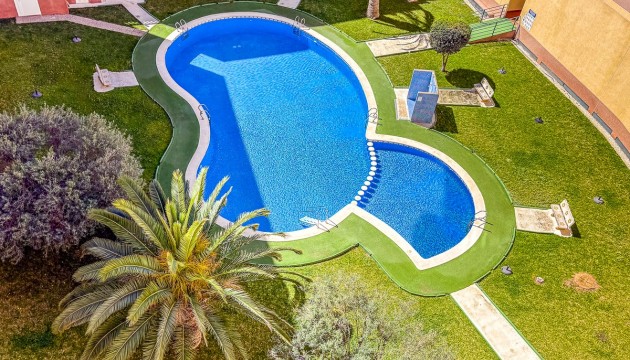 Apartment - Wiederverkauf - Torrevieja - Parque de las Naciones