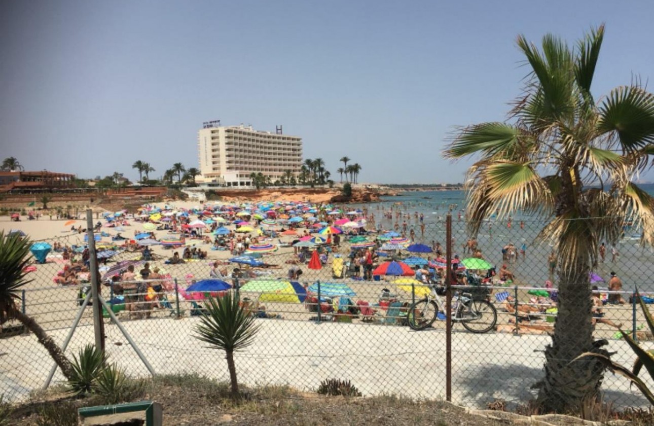 Begagnad - Lägenhet - Orihuela Costa - La Zenia