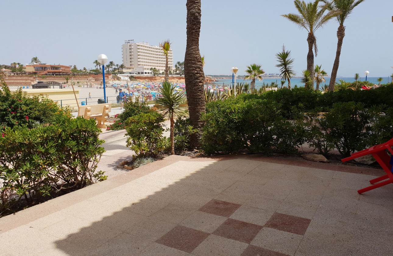 Begagnad - Lägenhet - Orihuela Costa - La Zenia