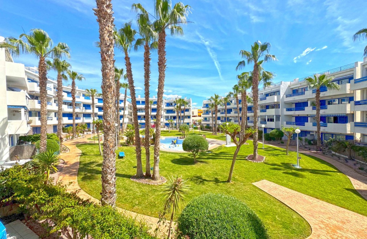 Begagnad - Lägenhet - Orihuela Costa - Playa Flamenca