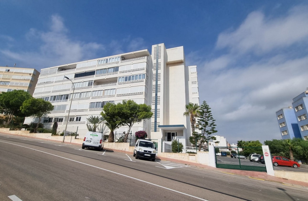Begagnad - Lägenhet - Torrevieja - Torrelamata - La Mata