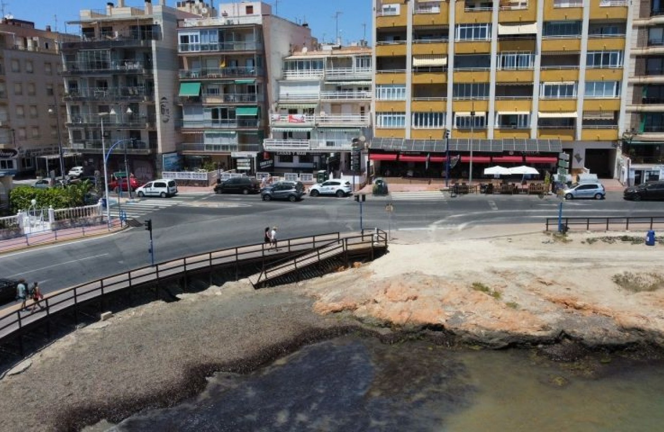 Begagnad - Lägenhet - Torrevieja