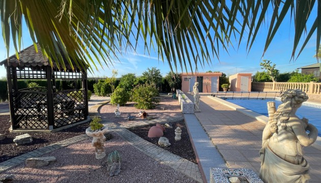 Country House - Herverkoop - Crevillente - Crevillente