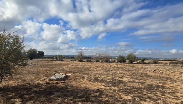 Country House - Herverkoop - Los Montesinos - Los Montesinos