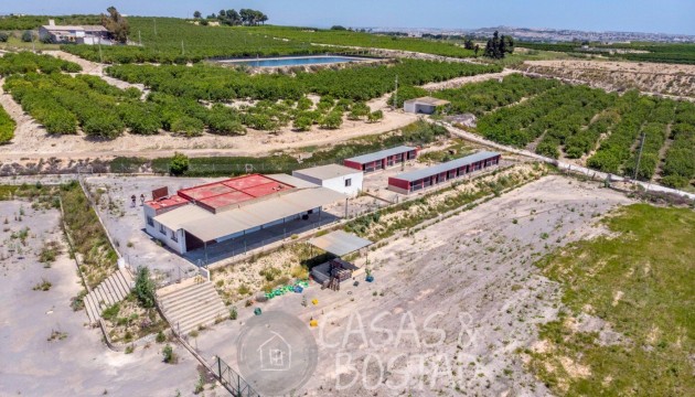 Country House - Odsprzedaż - Los Montesinos - Los Montesinos