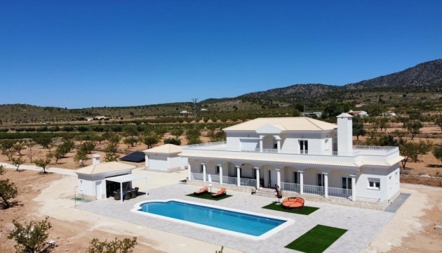 Detached Villa - New Build - Pinoso - Camino Del Prado