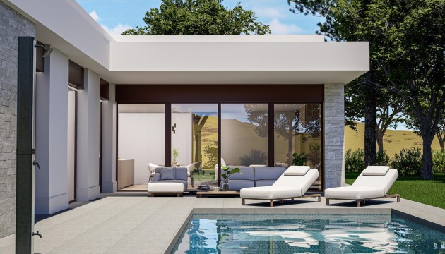 Detached Villa - New Build - Pinoso - Pinoso