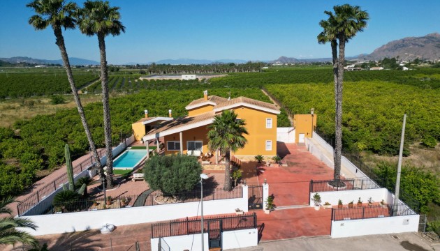 Finca - Country Property - Wiederverkauf - Orihuela - Orihuela