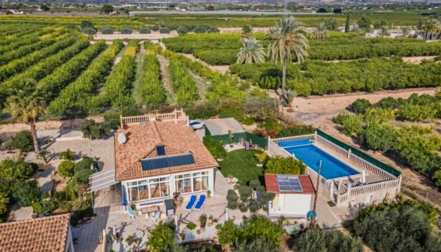 Finca - Reventa - Albatera - Albatera