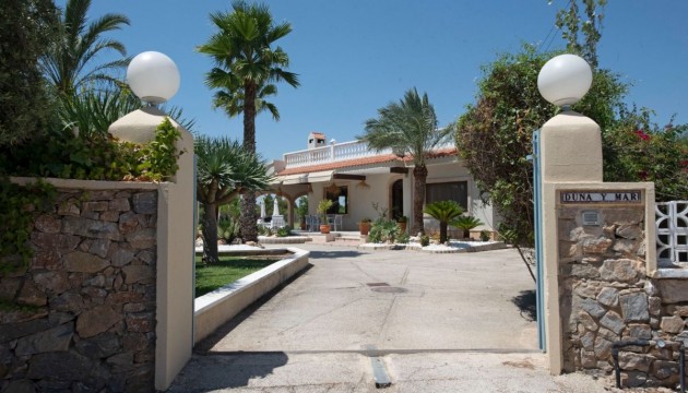 Finca - Reventa - Elche - Elche