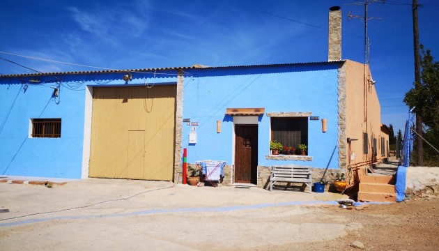 Finca - Reventa - Los Montesinos - Los Montesinos