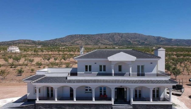 Fristående Villa - Nybyggnation - Pinoso - Camino Del Prado