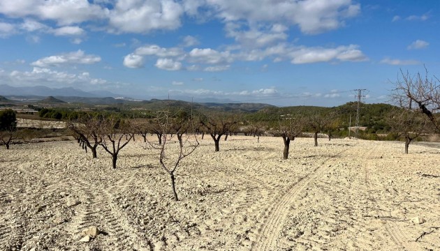 Grundstück / Grundstück - Wiederverkauf - Bullas - Costa Calida