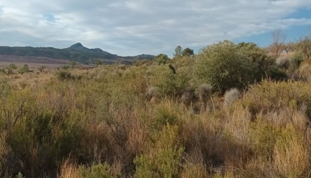 Grundstück / Grundstück - Wiederverkauf - Murcia - Murcia