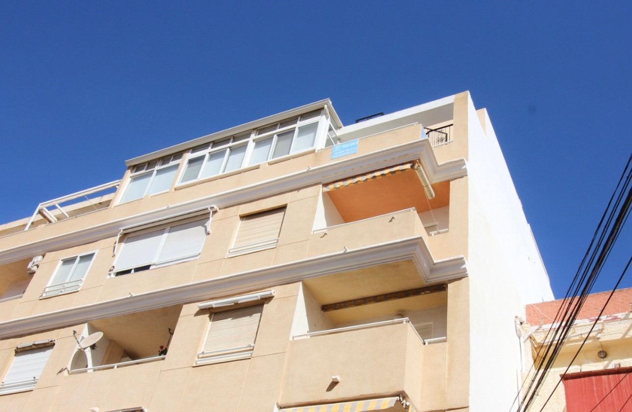 Herverkoop - Apartment - La Mata - Torrelamata - La Mata