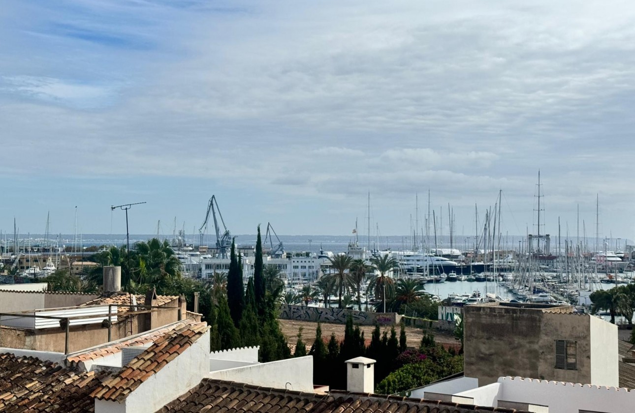 Herverkoop - Apartment - Palma de Mallorca - Palma