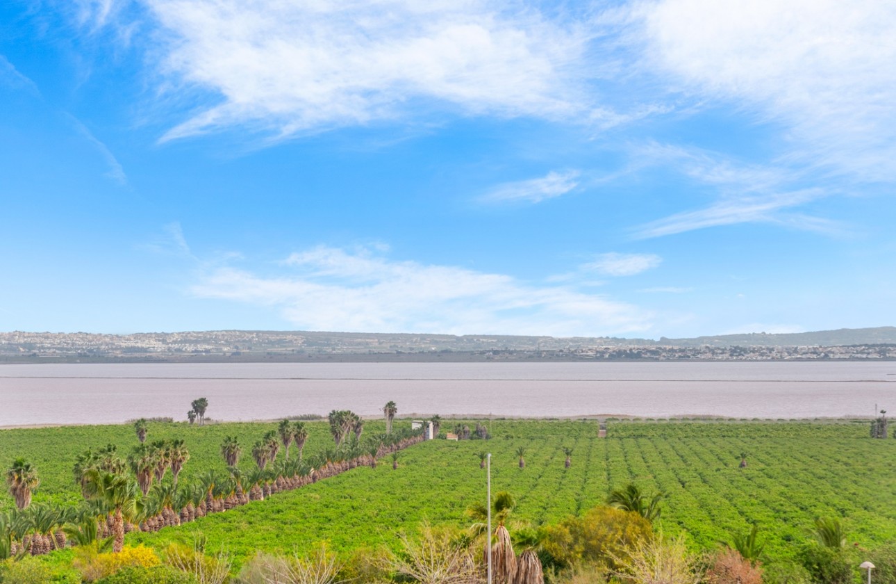 Herverkoop - Apartment - Torrevieja - Los Balcones - Los Altos del Edén