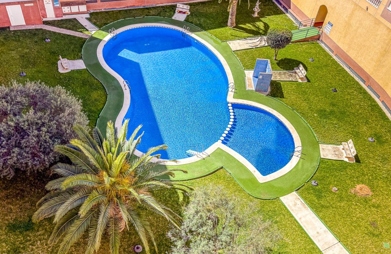 Herverkoop - Apartment - Torrevieja - Parque de las Naciones