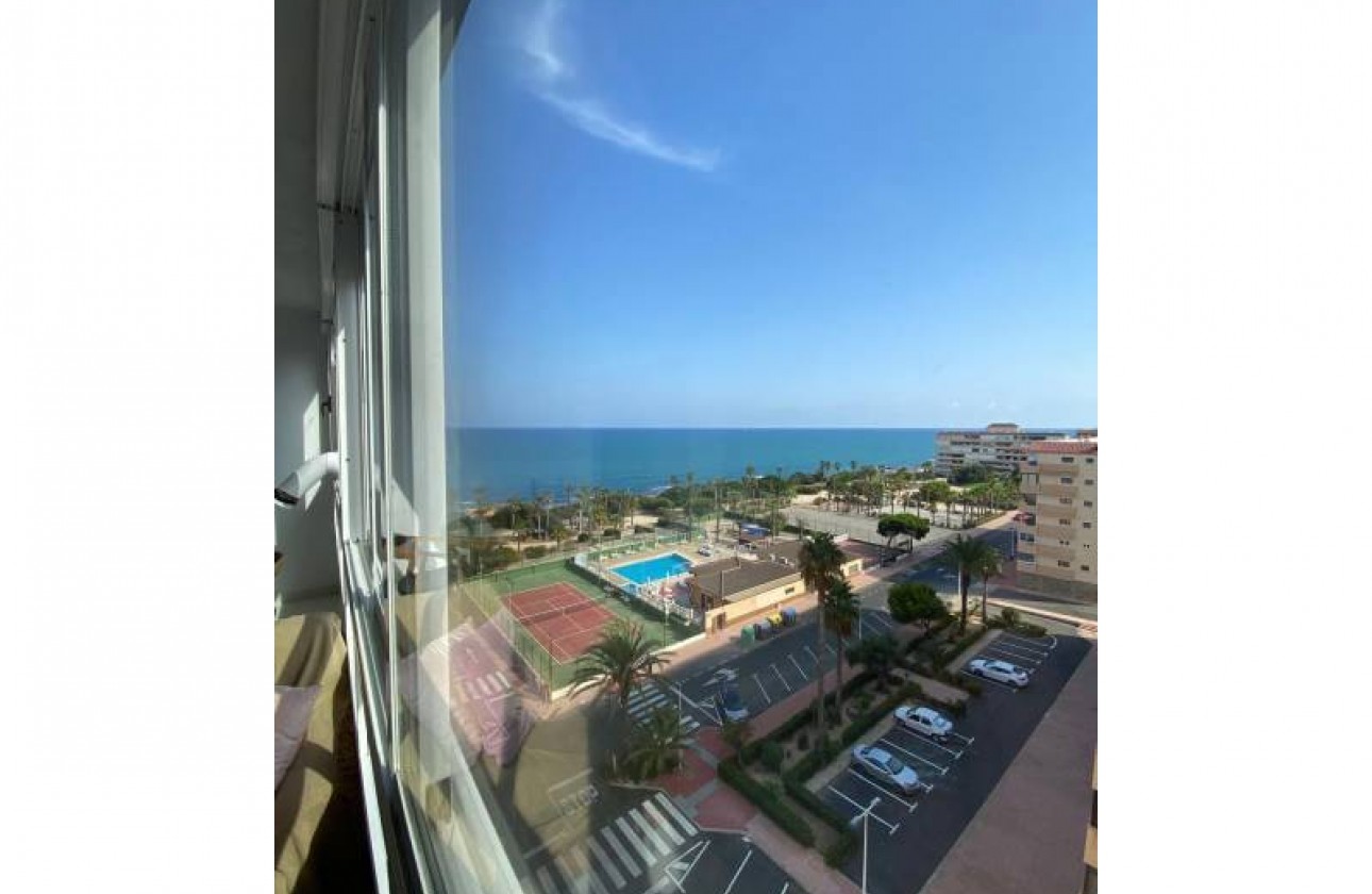 Herverkoop - Apartment - Torrevieja - Torrelamata - La Mata