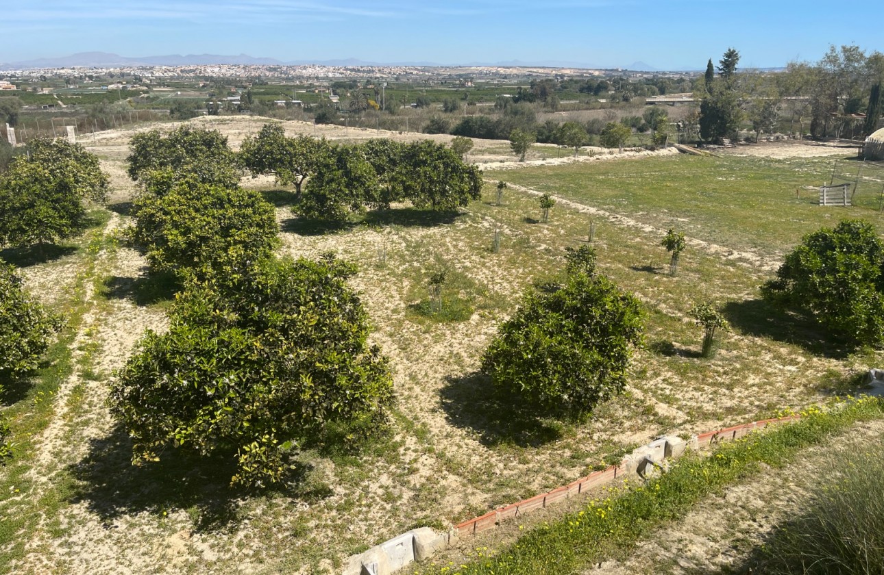 Herverkoop - Detached Villa - Guardamar del Segura