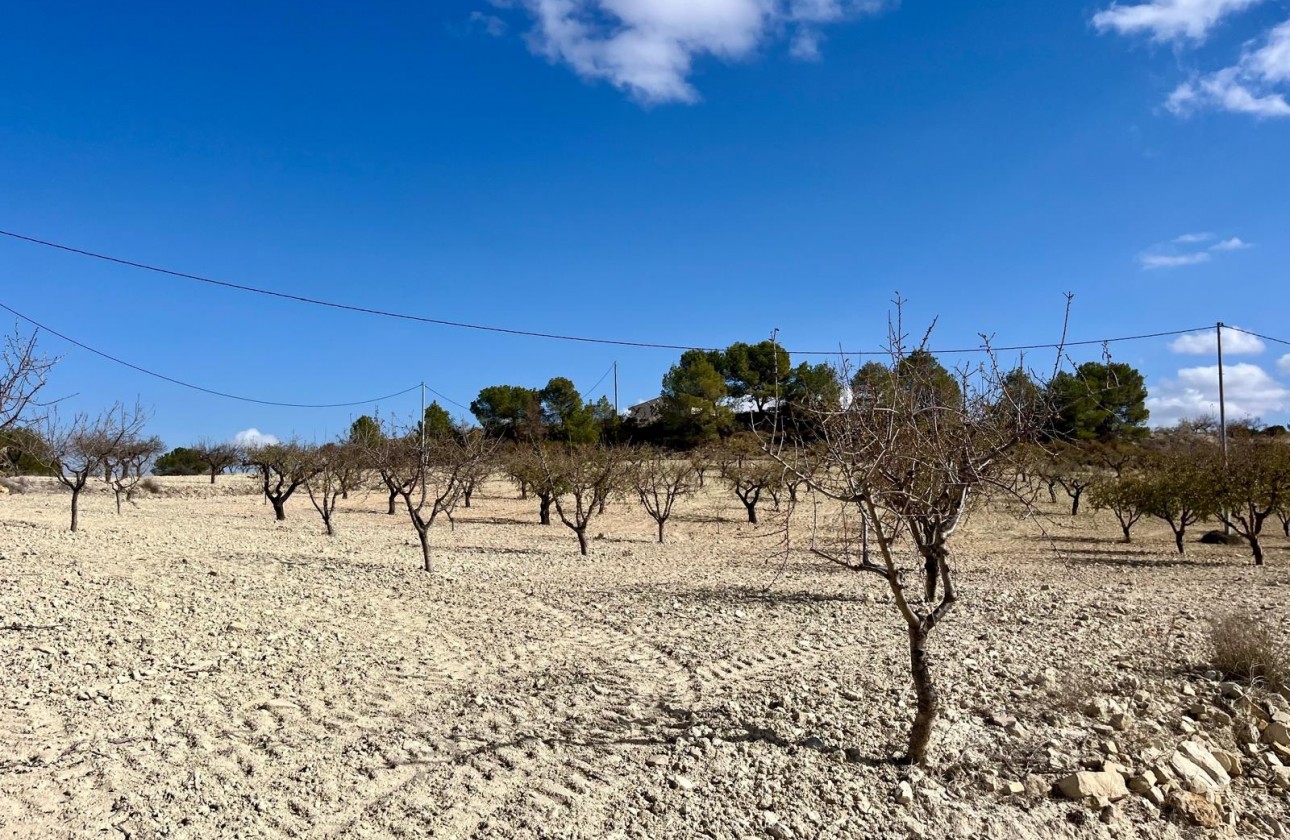 Herverkoop - Perceel / Grond - Bullas - Costa Calida