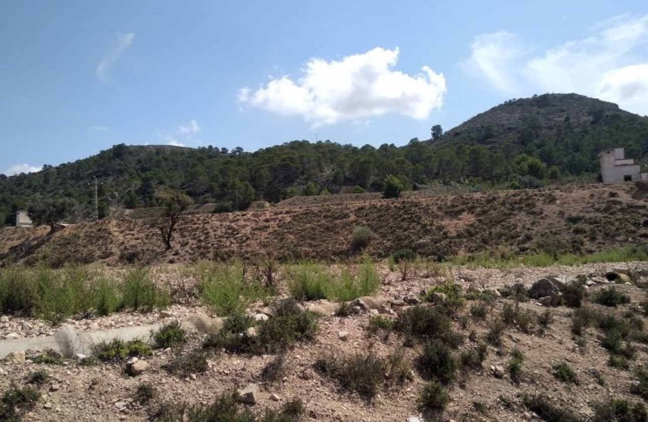 Herverkoop - Perceel / Grond - Hondón de las Nieves