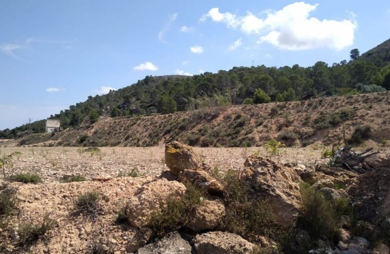 Herverkoop - Perceel / Grond - Hondón de las Nieves