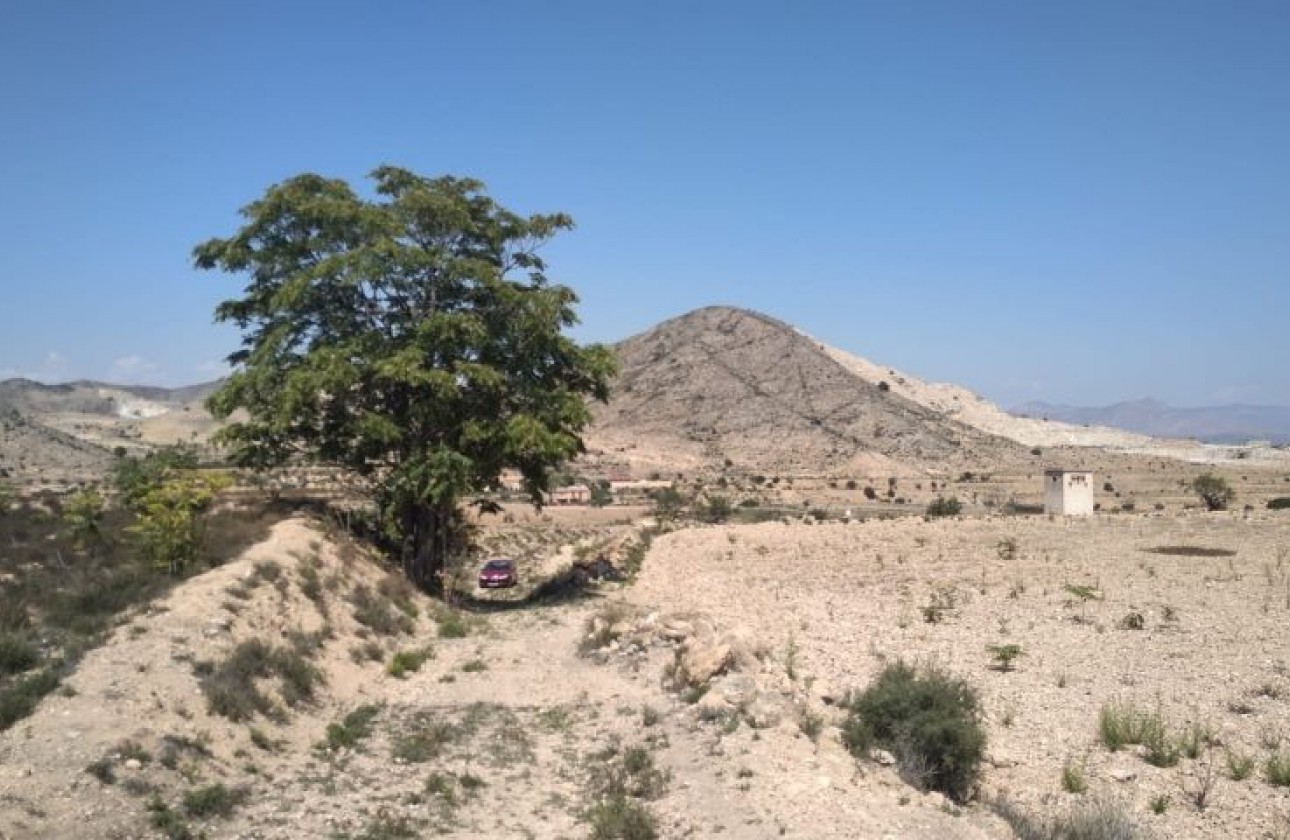 Herverkoop - Perceel / Grond - Hondón de las Nieves