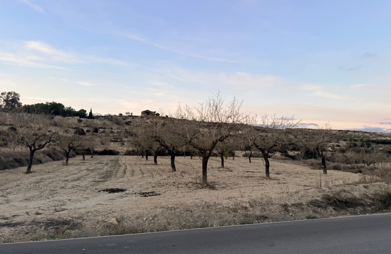 Herverkoop - Perceel / Grond - Torremendo - Costa Blanca