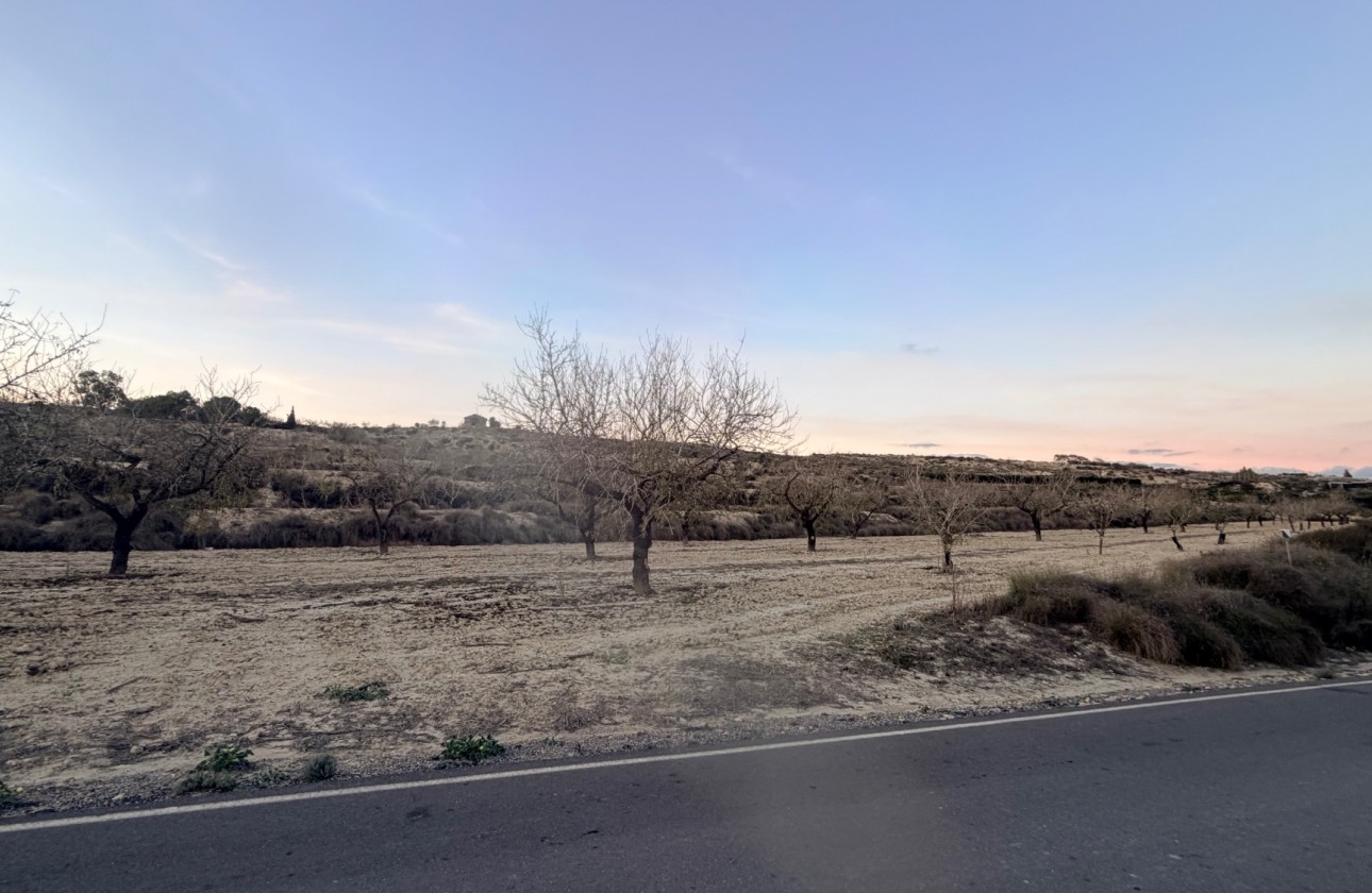 Herverkoop - Perceel / Grond - Torremendo - Costa Blanca
