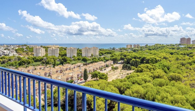 Lägenhet - Begagnad - Orihuela Costa - Campoamor