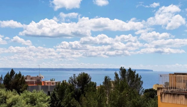 Lägenhet - Begagnad - Palma de Mallorca - Palma